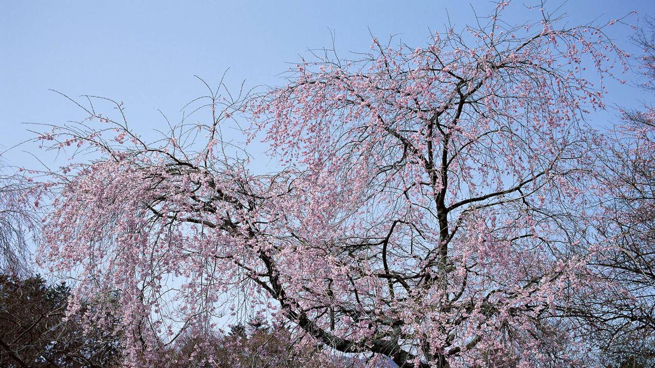 快手点赞1元100个赞|抖音业务平台24小时免费下单|24小时抖音点赞在线自助平台秒到怎么
